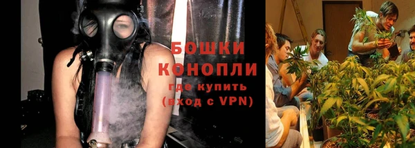 spice Беломорск