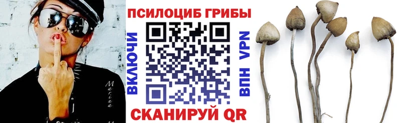 наркотики  ссылка на мегу ONION  Галлюциногенные грибы мухоморы  Кириши 